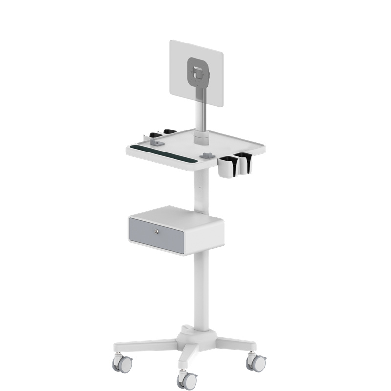 Portable ultrasonic trolley, Color ultrasound B ultrasound trolley – RS008