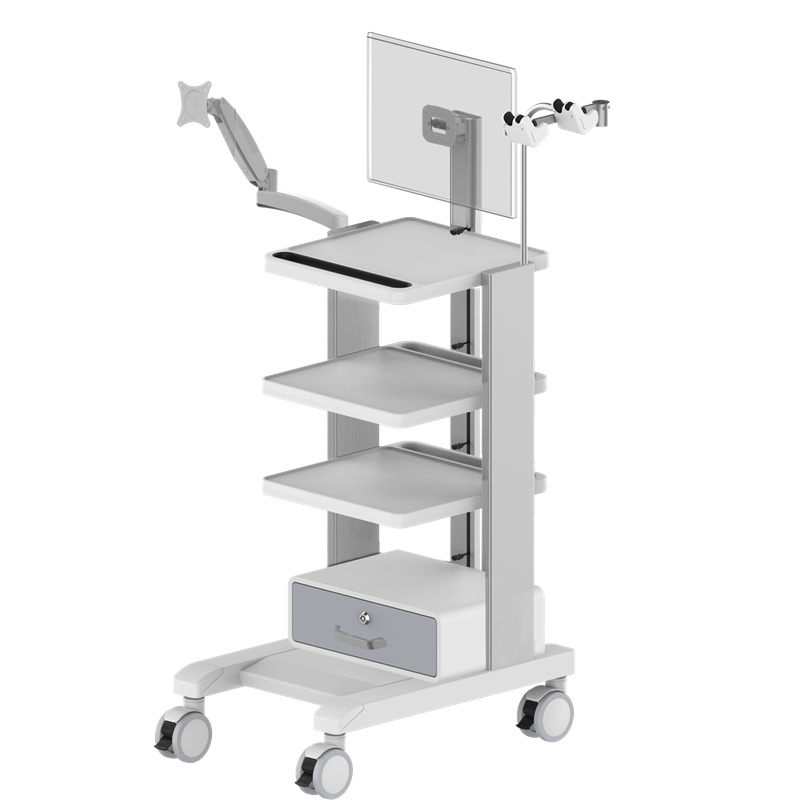 Endoscopy Cart – TR900C-12-XX Endoscopy Cart – TR900C-12-XX